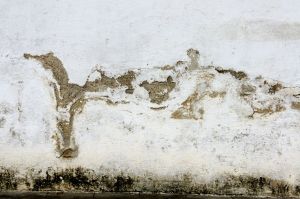 WS Walls - 16.jpg